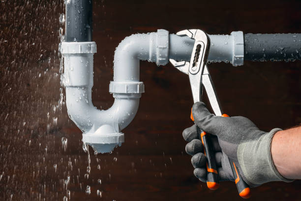 Professional Plumbing technician working in Zenda, WI